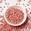 6/0 Opaque Colours Seep Glass Seed Beads X-SEED-F003-04A-14-2