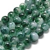 Natural Malaysia Jade Beads Strands G-L645-C01-10mm-03-1