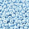 Baking Paint Glass Seed Beads SEED-B001-02A-08-3