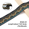 Ethnic Style Embroidery Polyester Ribbons SK-TAC0001-02-11