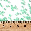 Glass Seed Beads X-SEED-S042-13A-11-4