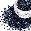 Glass Bugle Beads X-SEED-S032-13A-604-1