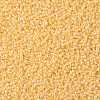 TOHO 11/0 Round Beads SEED-TR11-0903-2