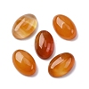 Natural Carnelian Cabochons G-K348-06-1