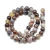 Natural Botswana Agate Beads Strands G-S150-24-6mm-2