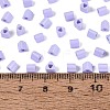 FGB Baking Paint Glass Seed Beads SEED-Q040-09A-15-4