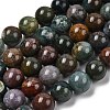 Natural Indian Agate Beads Strands G-G515-12mm-05-4