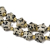 Natural Dalmatian Jasper Beads Strands G-Z080-A08-10mm-4