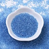 MIYUKI Delica Beads SEED-MY11-DB0113-2