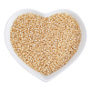FGB 12/0 Transparent Glass Seed Beads SEED-OL0001-02-02-1