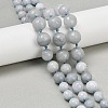 Natural White Jade Beads Strands G-Z105-A01-01B-1