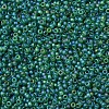 MIYUKI Round Rocailles Beads SEED-X0054-RR0146FR-2
