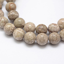 Natural Fossil Coral Beads Strands G-G735-52-8mm