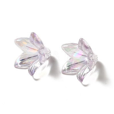 Transparent Acrylic Bead Caps OACR-H016-05B-1