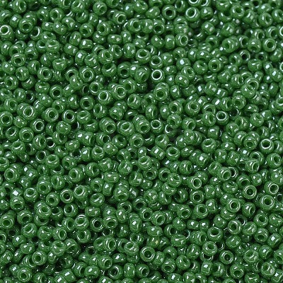 MIYUKI Round Rocailles Beads X-SEED-G007-RR0431-1