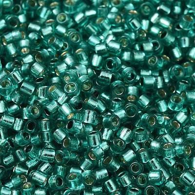 Glass Seed Beads X-SEED-S042-04B-29-1