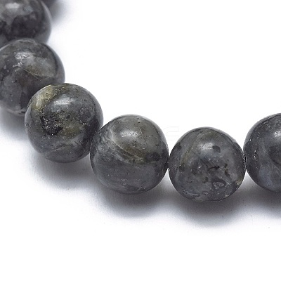 Natural Larvikite Bead Stretch Bracelets X-BJEW-K212-B-046-1