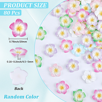 Plumeria Flower Opaque Resin Cabochons CRES-BM0001-01A-1