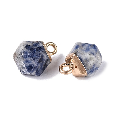 Natural Blue Spot Jasper Pendants G-N359-18G-06-1