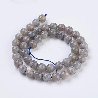 Natural Labradorite Beads Strands X-G-G212-8mm-23-1
