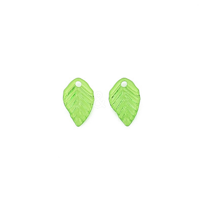 Transparent Acrylic Charms TACR-T012-04-1