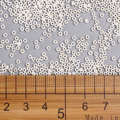 11/0 FGB Grade A Round Glass Seed Beads SEED-N001-B-0481-1