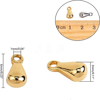 304 Stainless Steel Charms STAS-UN0003-78-1