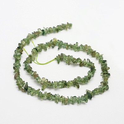 Chips Natural Green Apatite Beads Strands G-N0164-26-1