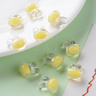 Transparent Acrylic Beads TACR-S152-05A-SS2105-1