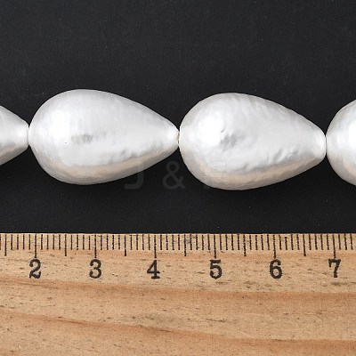 Electroplated Shell Pearl Beads Strands BSHE-F013-13-02-1