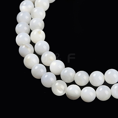 Natural Cultured Freshwater Shell Beads Strands BSHE-H109-03B-1