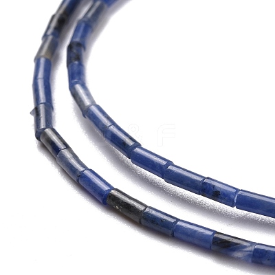 Natural Sodalite Beads Strands G-M389-11-1