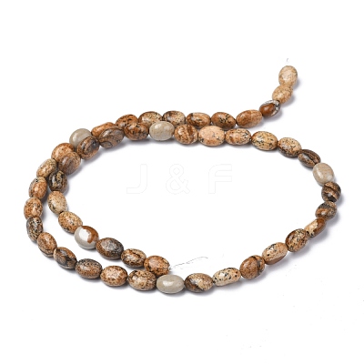 Natural Picture Jasper Beads Strands G-Z006-A02-1