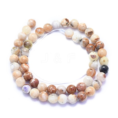 Natural Purple Opal Beads Strands G-K310-C16-8mm-1