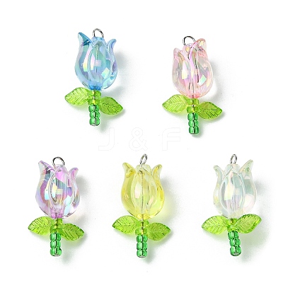Acrylic Pendants PALLOY-JF03535-02-1
