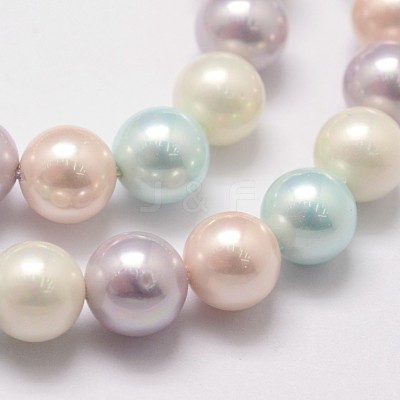 Shell Pearl Bead Strands X-BSHE-L017-10-1