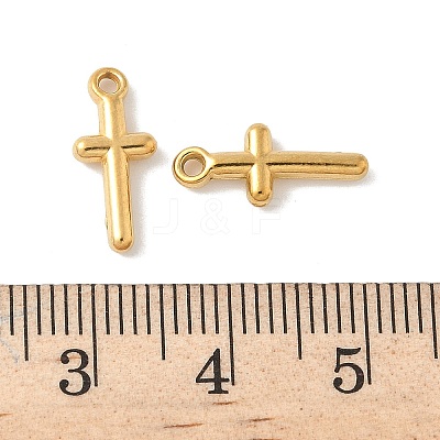 304 Stainless Steel Charms STAS-F320-04G-1