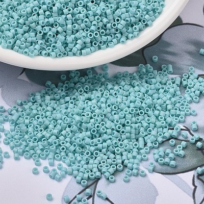 MIYUKI Delica Beads SEED-X0054-DB1595-1