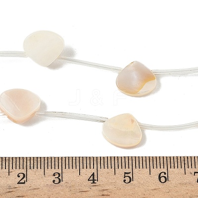 Natural Freshwater Shell Beads Strands SHEL-K006-52B-1