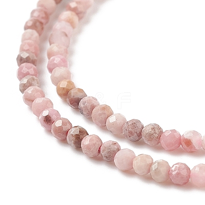 Natural Rhodonite Bead Strands X-G-A129-2mm-21-1