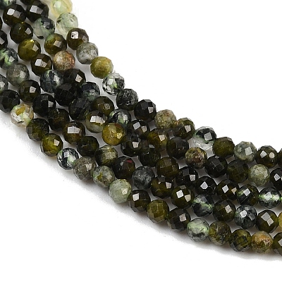 Natural Prehnite Beads Strands G-L628-B11-2mm-1