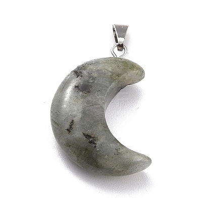 Natural Labradorite Pendants G-Z022-02A-1