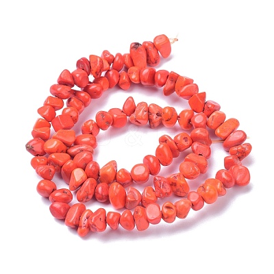 Natural Magnesite Beads Strands TURQ-P001-02A-10-1