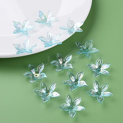Transparent Acrylic Beads MACR-S373-102-C05-1