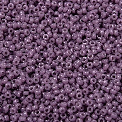 MIYUKI Round Rocailles Beads X-SEED-G009-RR4489-1