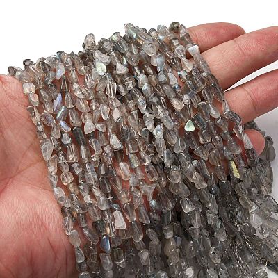 Natural Labradorite Beads Strands G-I389-A35-01B-1