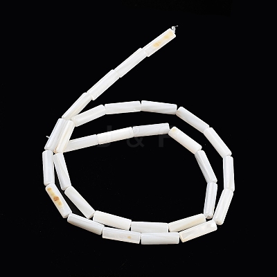 Freshwater Shell Beads Strands BSHE-L037-13-1