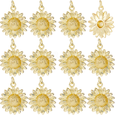 12Pcs Brass Pendants KK-HS0015-35-1