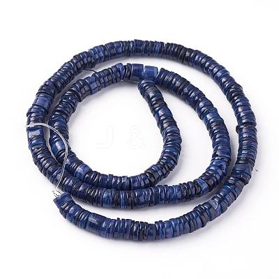 Shell Beads Strands SSHEL-E571-49F-1