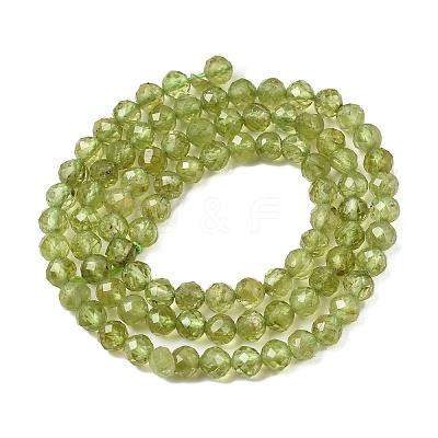 Natural Peridot Beads Strands G-P603-C-4mm-01-1